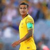 Tim Cahill Paint By Numbers