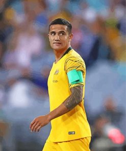 Tim Cahill Paint By Numbers