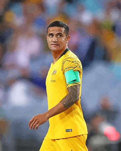 Tim Cahill Paint By Numbers