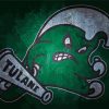 Tulane Green Wave Logo Paint By Numbers