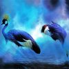 Two Grey Crowned Crane Art Paint By Numbers