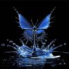 Water Splash Butterfly Paint By Numbers