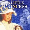 A Little Princess Movie Poster Paint By Numbers