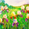 Abstract Iris Flower Field Paint By Numbers