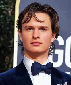 Actor Ansel Elgort Paint By Numbers