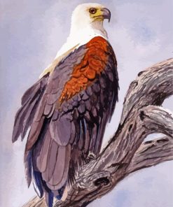 Aesthetic African Fish Eagle Paint By Numbers