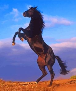 Aesthetic Black Horse Illustration Paint By Numbers