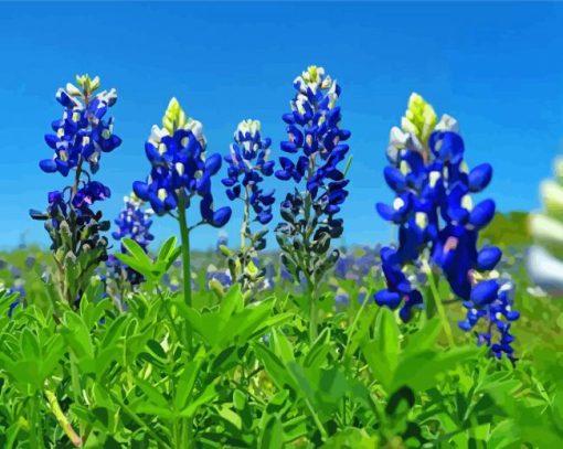 Aesthetic Blue Bonnet Paint By Numbers