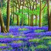 Aesthetic Bluebell Wood Paint By Numbers