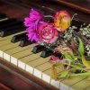 Aesthetic Flowers And Piano Paint By Numbers