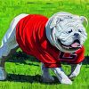 Aesthetic Georgia Bulldog Art Paint By Numbers