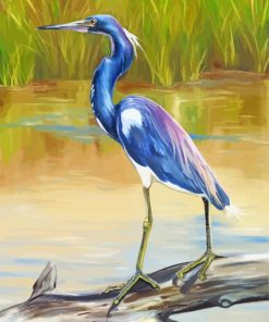 Aesthetic Louisiana Heron Bird Paint By Numbers