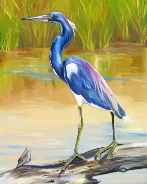 Aesthetic Louisiana Heron Bird Paint By Numbers