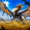 Aesthetic Mythical Dragon Paint By Numbers