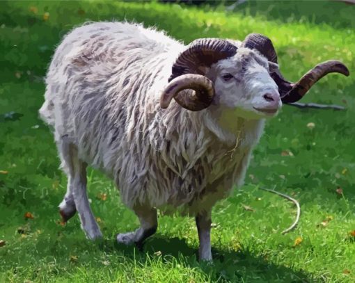 Aesthetic Ram Sheep Paint By Numbers