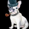 Aesthetic Bulldog With Hat Paint By Numbers