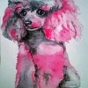 Aesthetic Pink Poodle Paint By Numbers