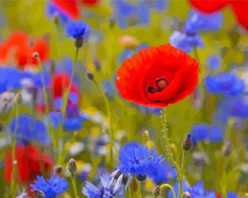 Aesthetic Red Poppies And Blue Cornflowers Paint By Numbers