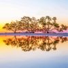 Australian Landscape Reflection Paint By Numbers