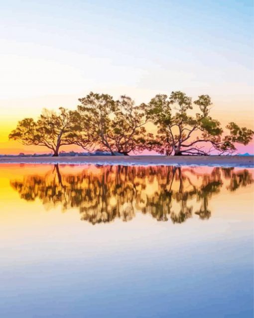 Australian Landscape Reflection Paint By Numbers