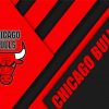 Basketball Logo Bulls Paint By Numbers