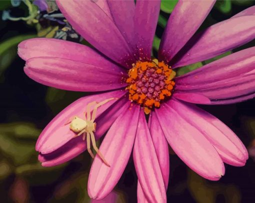 Beautiful Flower With Spider Paint By Numbers