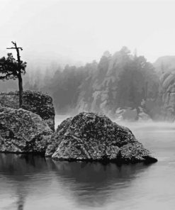 Black And White Sylvan Lake Paint By Numbers