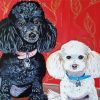 Black And White Poodles Paint By Number