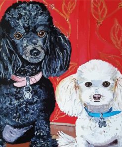 Black And White Poodles Paint By Number