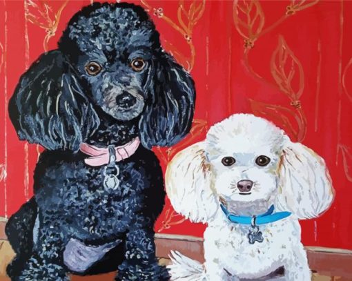 Black And White Poodles Paint By Number