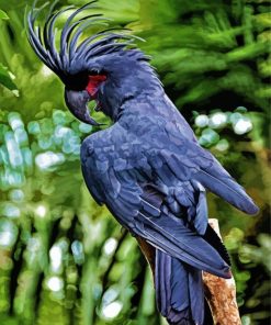 Black Cockatoo Bird Paint By Numbers