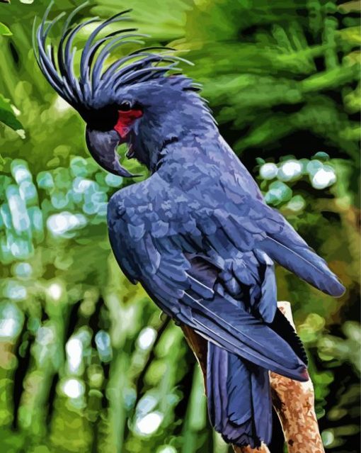 Black Cockatoo Bird Paint By Numbers