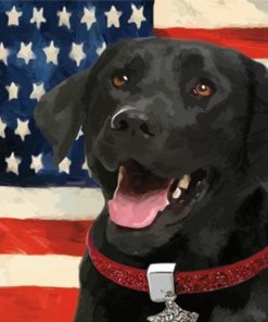 Black Lab With Flag Paint By Numbers