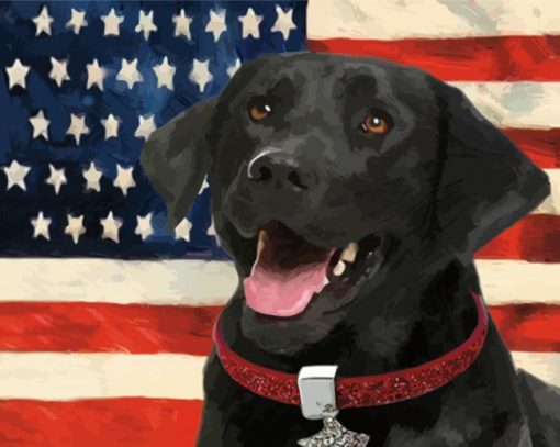 Black Lab With Flag Paint By Numbers