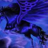 Black Winged Horse Paint By Numbers