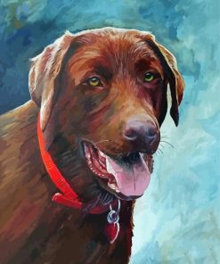 Brown English Labrador Paint By Numbers