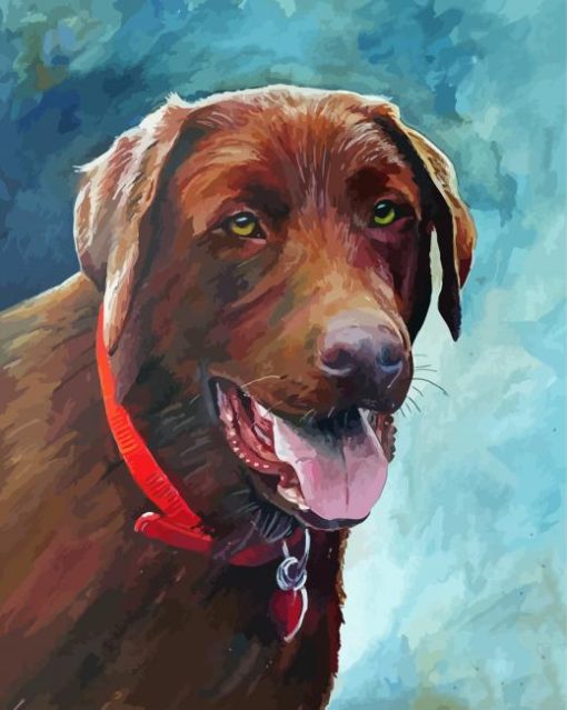 Brown English Labrador Paint By Numbers