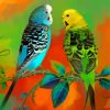 Budgies Art Paint By Numbers