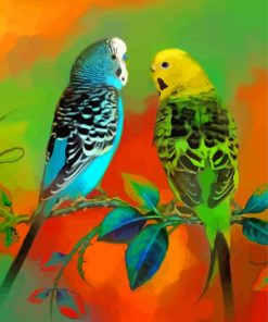 Budgies Art Paint By Numbers