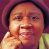 Close Up Jamaica Kincaid Paint By Numbers