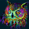 Colorful Abstract Owl Paint By Numbers