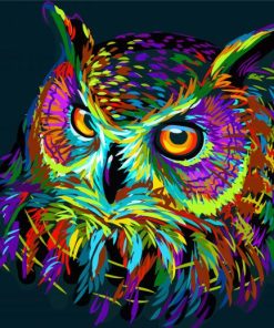 Colorful Abstract Owl Paint By Numbers