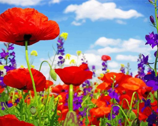 Colorful Field Of Wild Flowers Paint By Numbers