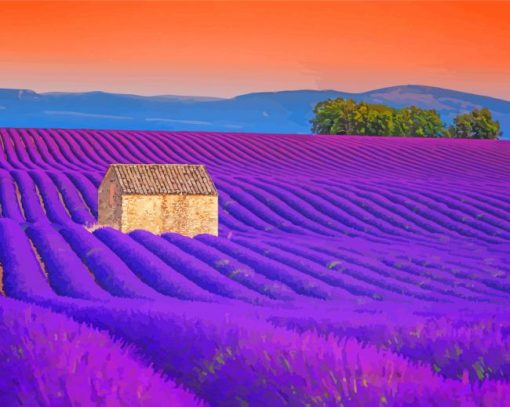 Cottage And Lavender Field Paint By Numbers