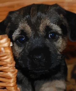 Cute Border Terrier Puppy Paint By Numbers