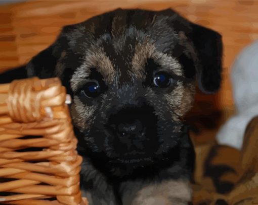 Cute Border Terrier Puppy Paint By Numbers