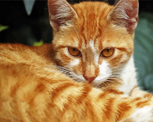 Cute Orange Taby Cat Paint By Numbers