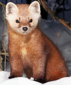 Cute Mad Marten Animal Paint By Numbers