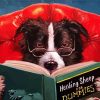 Dog Reading A book Paint By Numbers