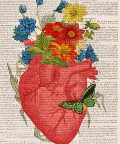 Floral Heart Anatomy Illustrations Paint By Numbers